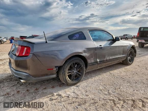 ✅ 2010 Ford Mustang V6 • VIN: 1ZVBP8AN9A5120684 • Lot: 64251745. Listed on Copart with 262,945 mi. Free auction sales archive from the USA and detailed vehicle history report at DreamBid. Image 3.