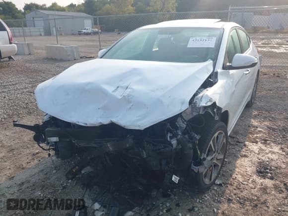 ✅ 2017 Hyundai Elantra SE • VIN: 5NPD84LFXHH023754 • Lot: 43152131. Listed on IAAI with 116,580 mi. Free auction sales archive from the USA and detailed vehicle history report at DreamBid. Image 6.