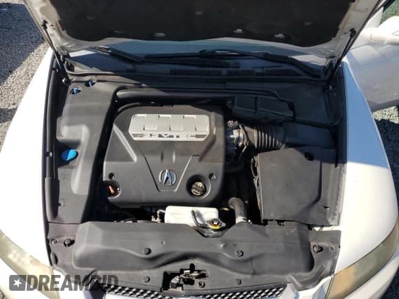 ✅ 2008 Acura TL • VIN: 19UUA66288A028520 • Lot: 91520775. Listed on Copart with 207,725 mi. Free auction sales archive from the USA and detailed vehicle history report at DreamBid. Image 11.