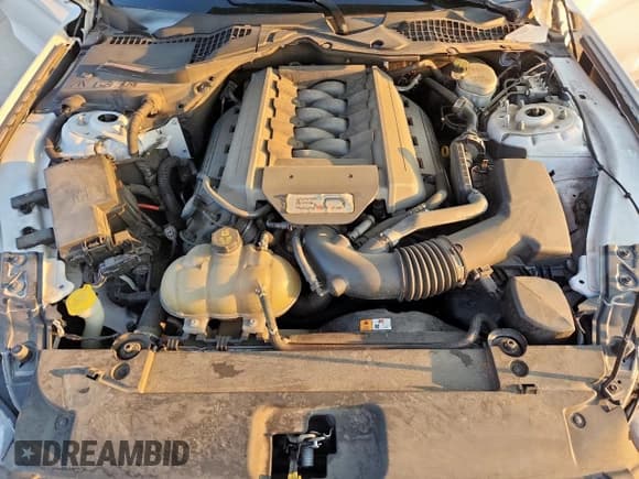 ✅ 2016 Ford Mustang GT • VIN: 1FA6P8CF6G5322438 • Lot: 81380925. Listed on Copart with 88,559 mi. Free auction sales archive from the USA and detailed vehicle history report at DreamBid. Image 11.