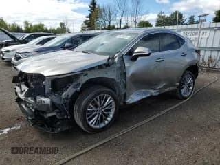 ✅ 2022 Lexus NX 350h Premium • VIN: 2T2GKCEZXNC009248 • Lot: 70726575. Wystawiony na Copart z przebiegiem 40 294 mil. Bezpłatny archiwum sprzedaży aukcyjnych z USA i szczegółowy raport historii pojazdu na DreamBid. Zdjęcie 1.