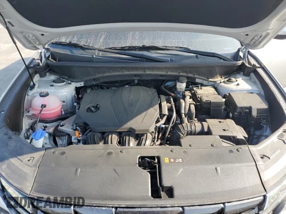 ✅ 2024 Hyundai Tucson SE • VIN: 5NMJA3DE5RH340654 • Lot: 62660284. Wystawiony na Copart z przebiegiem 13 671 mil. Bezpłatny archiwum sprzedaży aukcyjnych z USA i szczegółowy raport historii pojazdu na DreamBid. Zdjęcie 13.