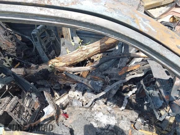 ✅ 2014 Dodge Charger RT • VIN: 2C3CDXCT8EH282587 • Lot: 42580556. Listed on IAAI with Not provided. Free auction sales archive from the USA and detailed vehicle history report at DreamBid. Image 5.