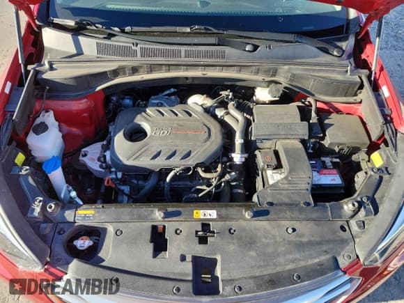 ✅ 2017 Hyundai Santa Fe Ultimate • VIN: 5XYZWDLA6HG466457 • Лот: 81970335. Опубликован ранее на Copart с пробегом 54 577 миль. Бесплатный доступ к архиву аукционных продаж из США и подробный отчёт об истории автомобиля на DreamBid. Изображение 12.