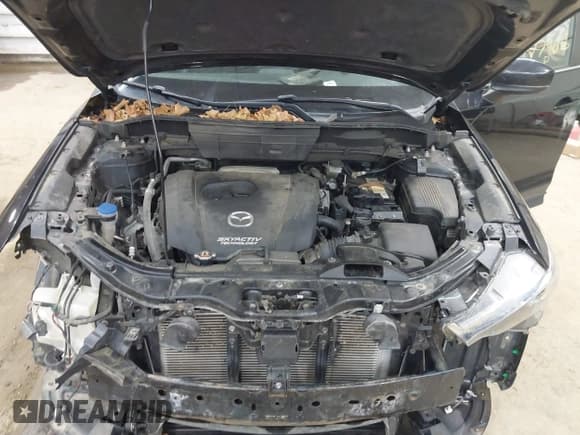 ✅ 2018 Mazda CX-5 Touring • VIN: JM3KFBCM2J0380100 • Lot: 43777906. Wystawiony na IAAI z przebiegiem 108 960 mil. Bezpłatny archiwum sprzedaży aukcyjnych z USA i szczegółowy raport historii pojazdu na DreamBid. Zdjęcie 10.