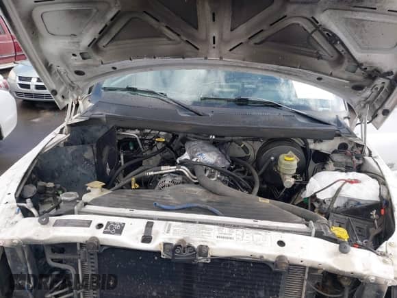 2001 Dodge 1500 with VIN 1B7HC16YX1S711028, listed as a IAAI auction lot 40687353 with Not provided miles and . Bid and sale history available at DreamBid. Image 10.