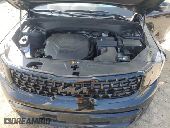 ✅ 2025 Kia Telluride SX-Prestige X-Line • VIN: 5XYP5DGCXSG612095 • Лот: 64888715. Опубликован ранее на Copart с пробегом 13 568 миль. Бесплатный доступ к архиву аукционных продаж из США и подробный отчёт об истории автомобиля на DreamBid. Изображение 12.