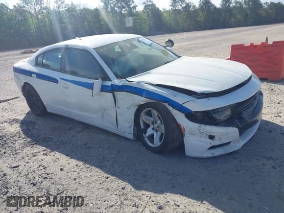 ✅ 2019 Dodge Charger Police • VIN: 2C3CDXAT3KH599711 • Лот: 41906214. Опубликован ранее на IAAI с пробегом 80 462 миль. Бесплатный доступ к архиву аукционных продаж из США и подробный отчёт об истории автомобиля на DreamBid. Изображение 1.