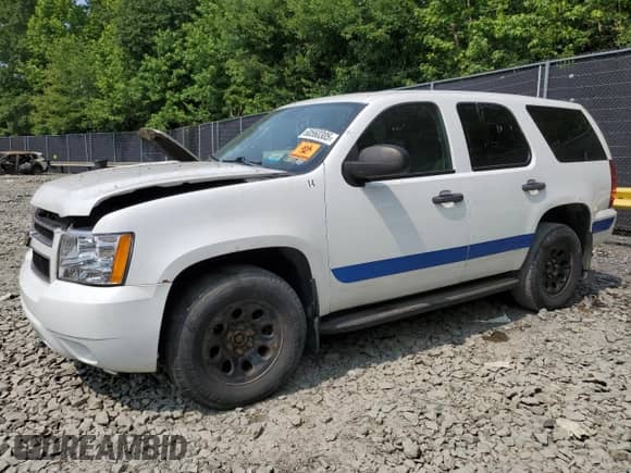2011 Chevrolet Tahoe Commercial with VIN 1GNSK2E08BR135319, listed as a Copart auction lot 60560305 with Not provided miles and Clean title. Bid and sale history available at DreamBid. Image 1.