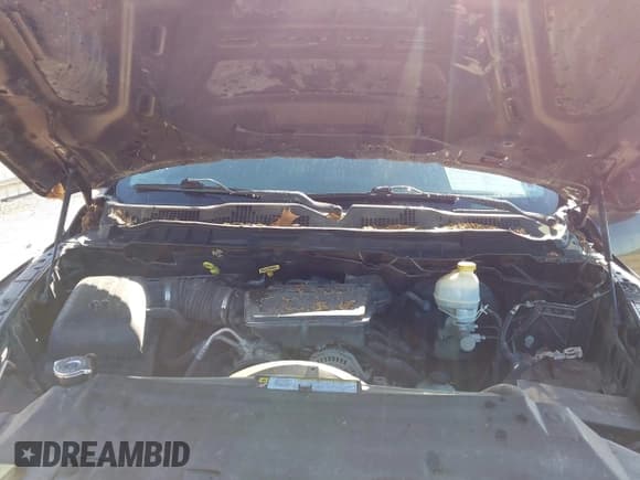 ✅ 2010 Dodge 1500 SLT • VIN: 1D7RB1GP7AS214036 • Lot: 41950566. Wystawiony na IAAI z przebiegiem 156 643 mil. Bezpłatny archiwum sprzedaży aukcyjnych z USA i szczegółowy raport historii pojazdu na DreamBid. Zdjęcie 10.