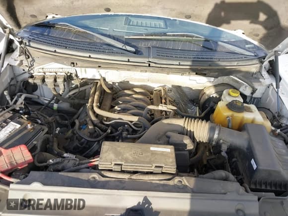 ✅ 2014 Ford F-150 XL • VIN: 1FTFX1CF1EKE23998 • Lot: 43449945. Listed on IAAI with 157,356 mi. Free auction sales archive from the USA and detailed vehicle history report at DreamBid. Image 10.