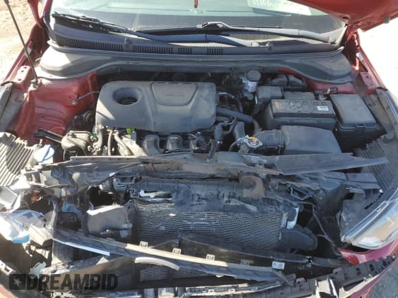 ✅ 2019 Hyundai Accent SE • VIN: 3KPC24A36KE088473 • Лот: 50649025. Опубликован ранее на Copart с пробегом 44 962 миль. Бесплатный доступ к архиву аукционных продаж из США и подробный отчёт об истории автомобиля на DreamBid. Изображение 12.