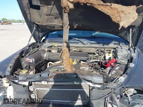 ✅ 2006 Dodge Dakota SLT • VIN: 1D7HW42N06S718488 • Лот: 42776180. Опубликован ранее на IAAI с пробегом 61 944 миль. Бесплатный доступ к архиву аукционных продаж из США и подробный отчёт об истории автомобиля на DreamBid. Изображение 10.