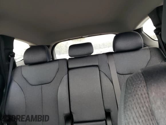 ✅ 2023 Hyundai Santa Fe SE • VIN: 5NMS14AJ6PH599985 • Lot: 90428445. Listed on Copart with 148,907 mi. Free auction sales archive from the USA and detailed vehicle history report at DreamBid. Image 10.