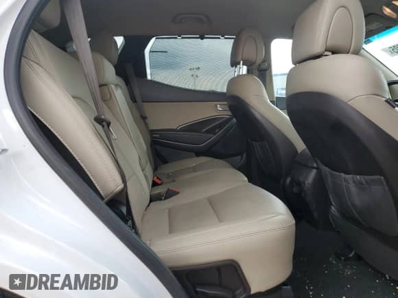 2017 Hyundai Santa Fe 2.0T with VIN 5XYZUDLA8HG484173, listed as a Copart auction lot 70024505 with 55,257 mi miles and Salvage title. Bid and sale history available at DreamBid. Image 11.