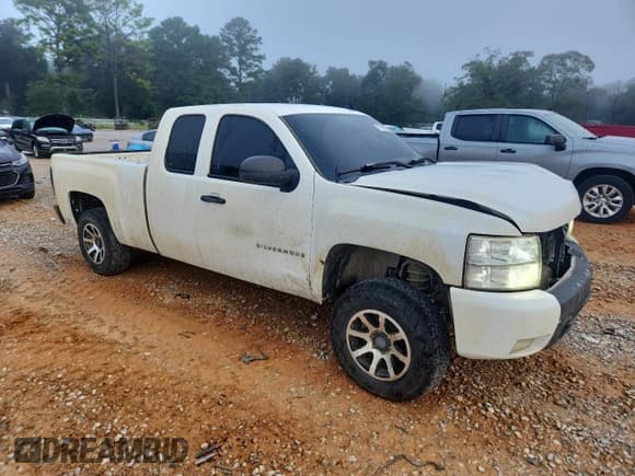 ✅ 2009 Chevrolet Silverado 1500 Work Truck • VIN: 1GCEC19029Z253593 • Lot: 67129595. Listed on Copart with 339,266 mi. Free auction sales archive from the USA and detailed vehicle history report at DreamBid. Image 4.