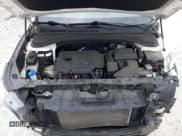 ✅ 2019 Hyundai Santa Fe SEL • VIN: 5NMS33AD3KH079542 • Лот: 66543903. Опубликован ранее на Copart с пробегом 54 891 миль. Бесплатный доступ к архиву аукционных продаж из США и подробный отчёт об истории автомобиля на DreamBid. Изображение 12.