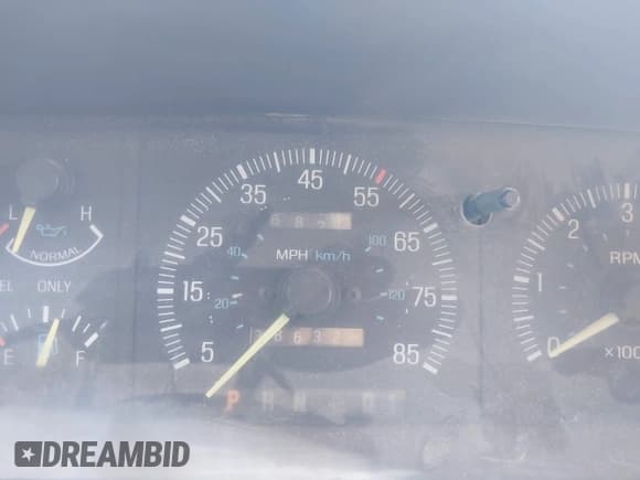 ✅ 1987 Ford Bronco Eddie Bauer • VIN: 1FMEU15N1HLA36645 • Lot: 43557550. Listed on IAAI with 38,632 mi. Free auction sales archive from the USA and detailed vehicle history report at DreamBid. Image 7.