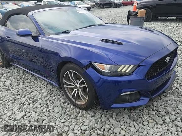 ✅ 2016 Ford Mustang EcoBoost Premium • VIN: 1FATP8UH4G5312428 • Lot: 67107705. Listed on Copart with 119,292 mi. Free auction sales archive from the USA and detailed vehicle history report at DreamBid. Image 13.