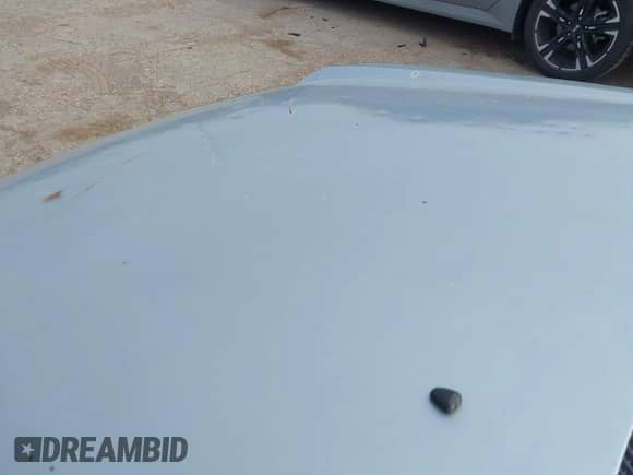 2005 Hyundai Accent GLS z VIN KMHCG45C65U576092, wystawiony jako IAAI lot #41368504 z przebiegiem 162 208 mil mil oraz . Historia ofert i sprzedaży dostępna na DreamBid. Obrazek 12.