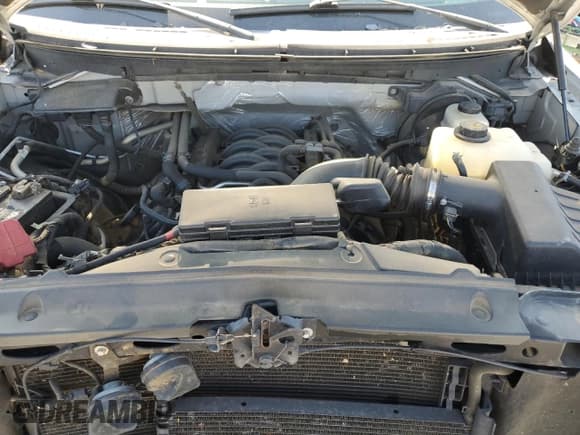 ✅ 2011 Ford F-150 XLT • VIN: 1FTFX1EF8BFD42319 • Lot: 92330985. Listed on Copart with 198,684 mi. Free auction sales archive from the USA and detailed vehicle history report at DreamBid. Image 11.