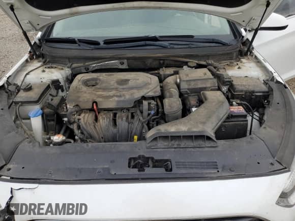 2018 Hyundai Sonata SE с VIN 5NPE24AF3JH646597, выставлен на аукционе Copart как лот 55990555 с пробегом 173 419 миль миль и Списание • Salvage title. История ставок и продаж доступна на DreamBid. Изображение 11.