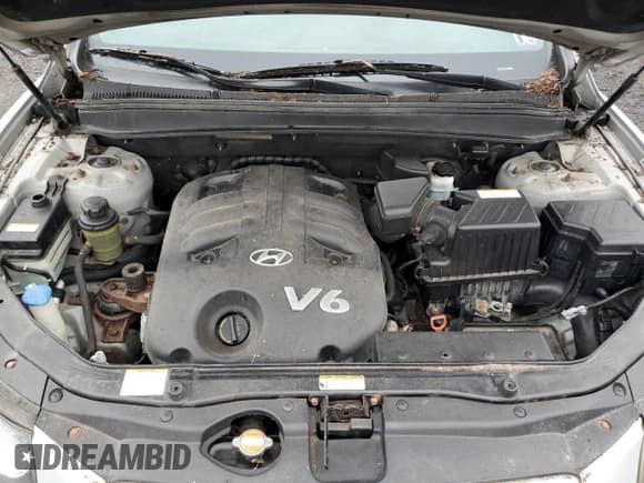 ✅ 2008 Hyundai Santa Fe SE • VIN: 5NMSH73E48H135186 • Lot: 83885645. Listed on Copart with 165,337 mi. Free auction sales archive from the USA and detailed vehicle history report at DreamBid. Image 12.