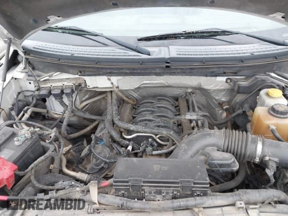 ✅ 2014 Ford F-150 XLT • VIN: 1FTFW1EF2EFB86513 • Lot: 43644500. Listed on IAAI with 157,444 mi. Free auction sales archive from the USA and detailed vehicle history report at DreamBid. Image 10.