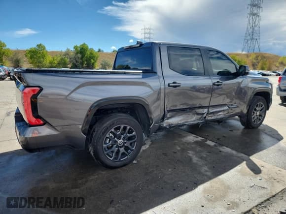 ✅ 2024 Toyota Tundra Platinum Hybrid • VIN: 5TFNC5DB3RX059635 • Lot: 84455905. Listed on Copart with 21,311 mi. Free auction sales archive from the USA and detailed vehicle history report at DreamBid. Image 3.