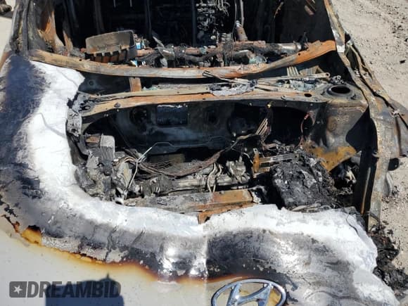 ✅ 2024 Hyundai Ioniq 5 SEL • VIN: KM8KN4DE2RU294901 • Lot: 80081315. Listed on Copart with Not provided. Free auction sales archive from the USA and detailed vehicle history report at DreamBid. Image 11.