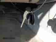 2007 Chevrolet Malibu 2LT с VIN 1G1ZT58N57F304646, выставлен на аукционе IAAI как лот 43513934 с пробегом 158 006 миль миль и . История ставок и продаж доступна на DreamBid. Изображение 11.