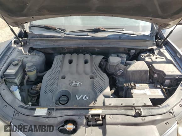 ✅ 2008 Hyundai Santa Fe GLS • VIN: 5NMSG13D98H150144 • Lot: 72090794. Listed on Copart with 232,113 mi. Free auction sales archive from the USA and detailed vehicle history report at DreamBid. Image 12.