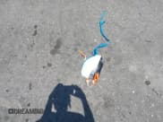 ✅ 2012 Infiniti QX56 8-passenger • VIN: JN8AZ2NC7C9317383 • Lot: 42869785. Wystawiony na IAAI z przebiegiem 144 666 mil. Bezpłatny archiwum sprzedaży aukcyjnych z USA i szczegółowy raport historii pojazdu na DreamBid. Zdjęcie 12.