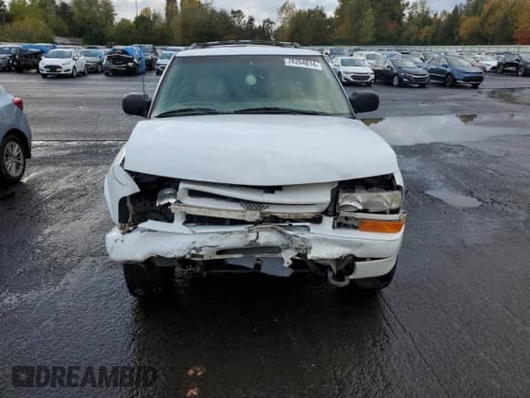 1999 Chevrolet Blazer LS z VIN 1GNDT13W3X2151967, wystawiony jako Copart lot #78264814 z przebiegiem 211 162 mil mil oraz Szkoda całkowita • Salvage title. Historia ofert i sprzedaży dostępna na DreamBid. Obrazek 5.