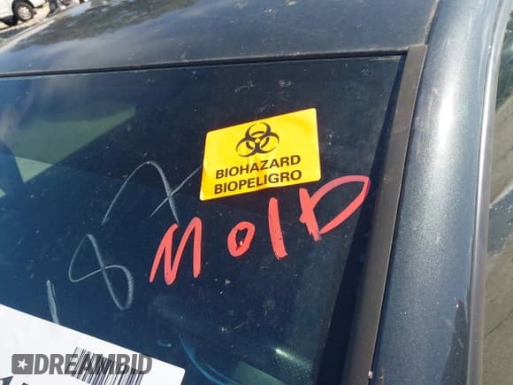 ✅ 2010 Volkswagen Golf GTI • VIN: WVWEV7AJ4AW394267 • Lot: 42617187. Listed on IAAI with Not provided. Free auction sales archive from the USA and detailed vehicle history report at DreamBid. Image 6.