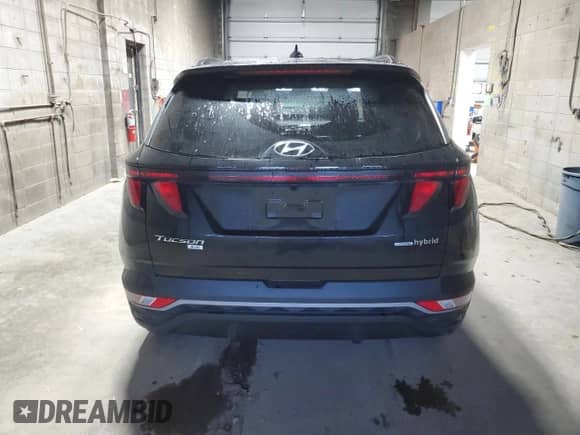 2024 Hyundai Tucson Blue with VIN KM8JBCD14RU209861, listed as a Copart auction lot 81778195 with 8,091 mi miles and Salvage title. Bid and sale history available at DreamBid. Image 6.