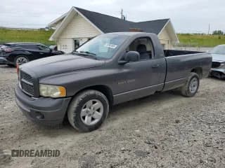 ✅ 2002 Dodge 1500 • VIN: 1D7HA16N92J200709 • Лот: 62883405. Опубликован ранее на Copart с пробегом 98 022 миль. Бесплатный доступ к архиву аукционных продаж из США и подробный отчёт об истории автомобиля на DreamBid. Изображение 1.