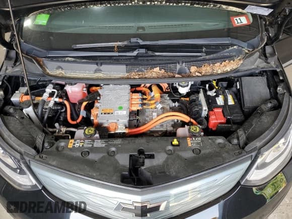 ✅ 2019 Chevrolet Bolt EV Premier • VIN: 1G1FZ6S01K4131104 • Lot: 60405625. Listed on Copart with 32,487 mi. Free auction sales archive from the USA and detailed vehicle history report at DreamBid. Image 11.
