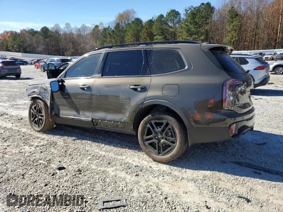✅ 2024 Kia Telluride SX Prestige X-Line • VIN: 5XYP5DGCXRG432982 • Lot: 93007055. Wystawiony na Copart z przebiegiem 19 086 mil. Bezpłatny archiwum sprzedaży aukcyjnych z USA i szczegółowy raport historii pojazdu na DreamBid. Zdjęcie 2.