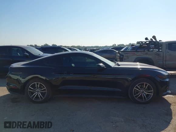 ✅ 2016 Ford Mustang EcoBoost • VIN: 1FA6P8TH7G5281531 • Lot: 43334626. Listed on IAAI with 136,026 mi. Free auction sales archive from the USA and detailed vehicle history report at DreamBid. Image 13.