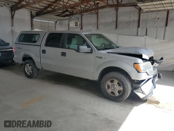 ✅ 2009 Ford F-150 XL • VIN: 1FTRW14859FB08751 • Lot: 68617255. Listed on Copart with 225,319 mi. Free auction sales archive from the USA and detailed vehicle history report at DreamBid. Image 4.