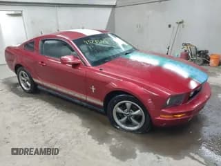 ✅ 2006 Ford Mustang Standard • VIN: 1ZVHT80N265230121 • Lot: 43731148. Listed on IAAI with Not provided. Free auction sales archive from the USA and detailed vehicle history report at DreamBid. Image 1.
