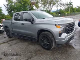 ✅ 2024 Chevrolet Silverado 1500 Custom • VIN: 3GCPABEK2RG264301 • Lot: 43407857. Wystawiony na IAAI z przebiegiem 14 771 mil. Bezpłatny archiwum sprzedaży aukcyjnych z USA i szczegółowy raport historii pojazdu na DreamBid. Zdjęcie 1.