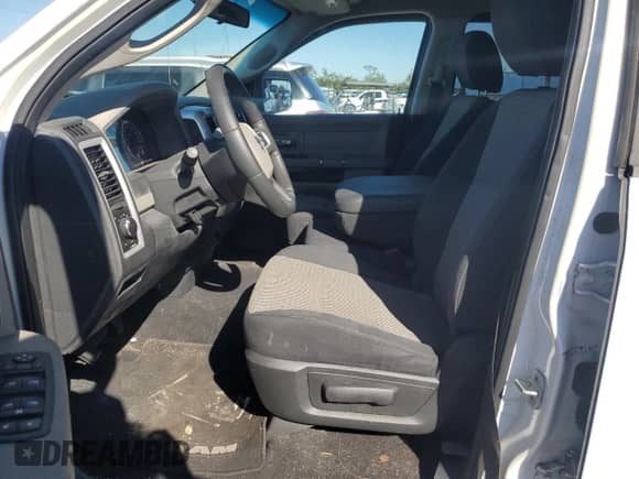 2010 Dodge 1500 ST with VIN 1D7RB1GP9AS180097, listed as a Copart auction lot 81579974 with Not provided miles and Non repairable. Bid and sale history available at DreamBid. Image 7.