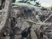 ✅ 2025 Ram 2500 • VIN: 3C63R5DL6SG516700 • Lot: 66202605. Wystawiony na Copart z przebiegiem Nie podano. Bezpłatny archiwum sprzedaży aukcyjnych z USA i szczegółowy raport historii pojazdu na DreamBid. Zdjęcie 9.