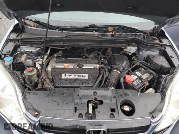 ✅ 2009 Honda CR-V LX • VIN: 5J6RE48359L034925 • Lot: 81956235. Listed on Copart with 189,656 mi. Free auction sales archive from the USA and detailed vehicle history report at DreamBid. Image 11.