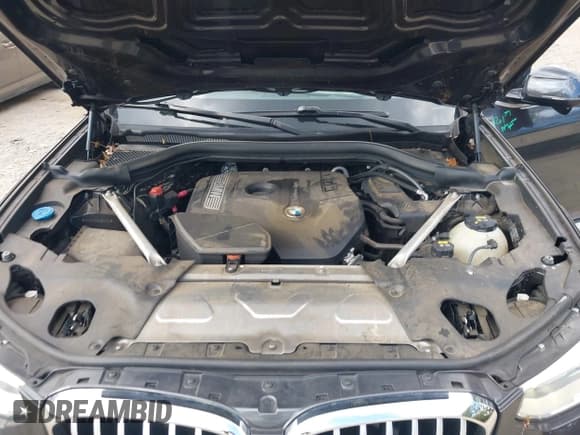 ✅ 2019 BMW X4 xDrive30i • VIN: 5UXUJ3C55KLG54342 • Лот: 43310729. Опубликован ранее на IAAI с пробегом 66 198 миль. Бесплатный доступ к архиву аукционных продаж из США и подробный отчёт об истории автомобиля на DreamBid. Изображение 10.