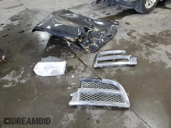 ✅ 2009 Dodge 1500 Sport • VIN: 1D3HV18T09S702305 • Lot: 70002034. Wystawiony na Copart z przebiegiem Nie podano. Bezpłatny archiwum sprzedaży aukcyjnych z USA i szczegółowy raport historii pojazdu na DreamBid. Zdjęcie 12.