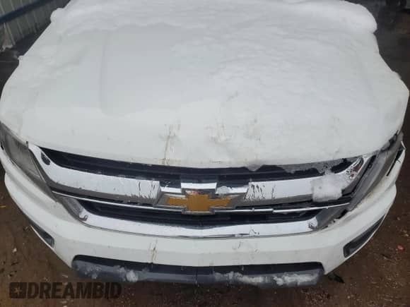 2016 Chevrolet Colorado 4WD WT с VIN 1GCHTBEA1G1234529, выставлен на аукционе Copart как лот 55652955 с пробегом Не указан миль и Списание • Salvage title. История ставок и продаж доступна на DreamBid. Изображение 11.