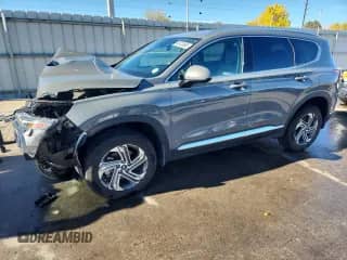 2022 Hyundai Santa Fe SEL with VIN 5NMS2DAJ5NH448842, listed as a Copart auction lot 89724865 with 30,643 mi miles and Salvage title. Bid and sale history available at DreamBid. Image 1.